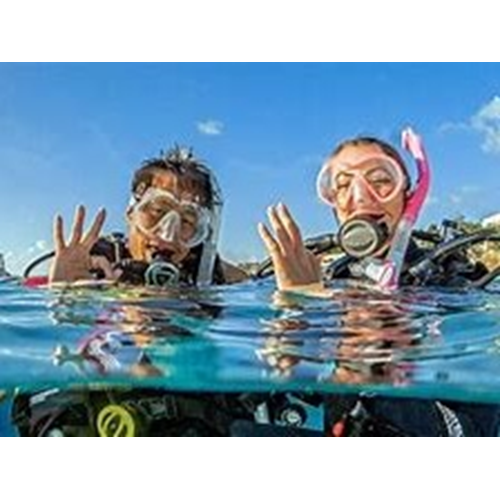 PADI Open Water Diver w/eLrn